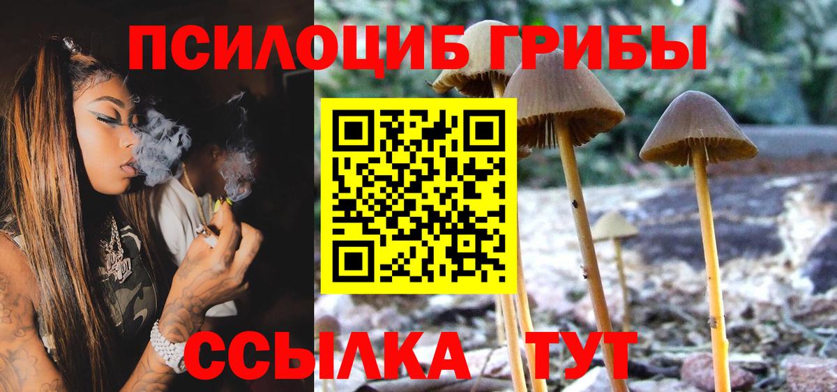 Ишимбай  Галлюциногенные грибы Psilocybine cubensis  Вход с VPN  Галлюциногенные грибы Psilocybine cubensis 