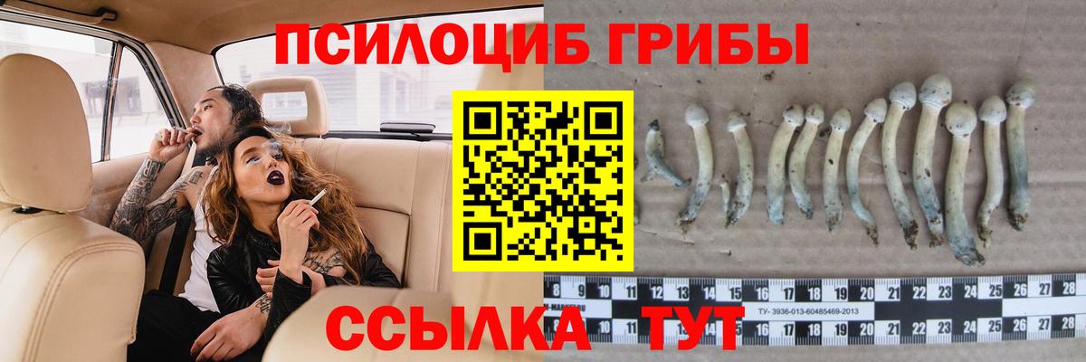 Псилоцибиновые грибы Cubensis Ишимбай
